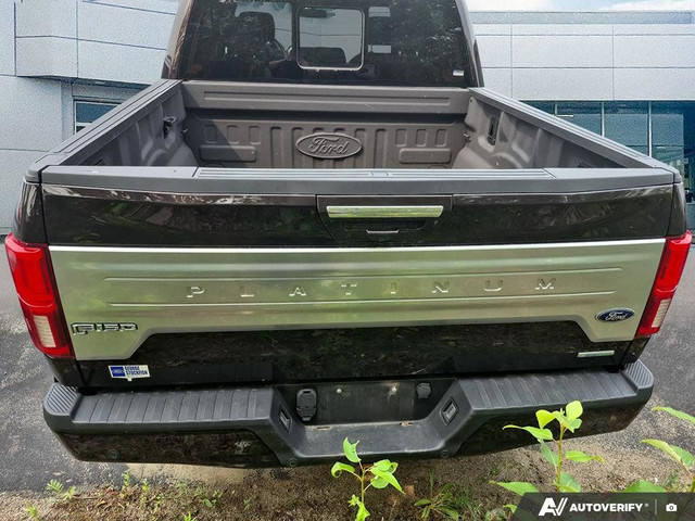 2019 Ford F-150 in Cars & Trucks in Thunder Bay - Image 4