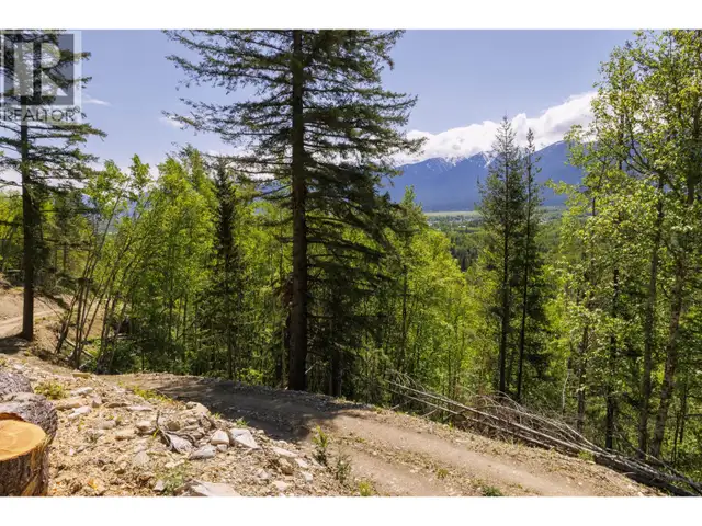 3260 MOUNTAIN VIEW ROAD McBride, British Columbia in Land for Sale in Quesnel - Image 3