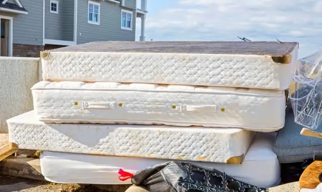 Wonderful Queen Double and Single used mattresses and box spring in Beds & Mattresses in Delta/Surrey/Langley - Image 8