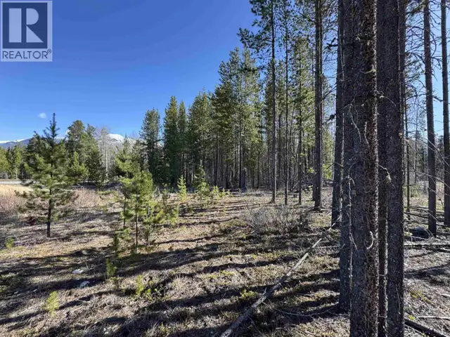 1030 18TH AVENUE Valemount, British Columbia in Land for Sale in Quesnel - Image 6