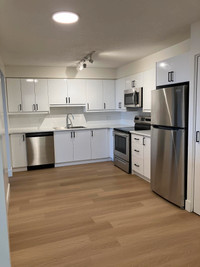 Fully Renovated 2 Bedroom Suites - FIRST MONTHS RENT FREE