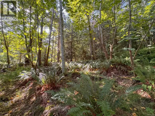 Lot 7 The Strand Gabriola Island, British Columbia in Land for Sale in Nanaimo - Image 4