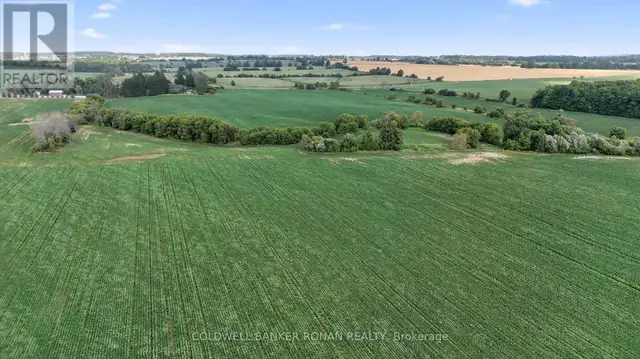 4495 LINE 11 Bradford West Gwillimbury, Ontario in Land for Sale in Barrie - Image 19