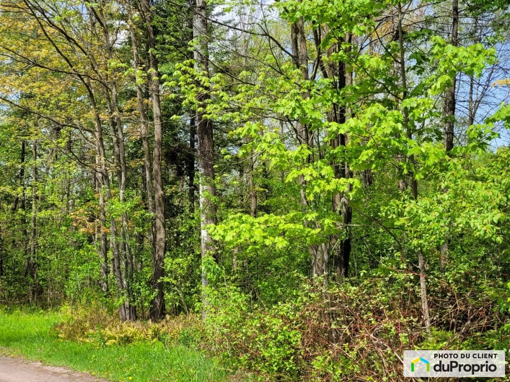 $55,900 - Residential Lot for sale in Issoudun — photo 1
