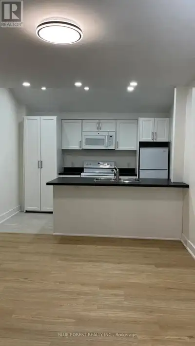 Beautiful, newly renovated 1-bedroom, 1 bath apartment with in-suite laundry on the main floor of a...