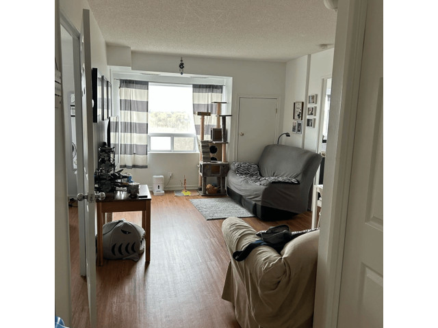 Private Room in Sidney Belsey Crescent, North York in Room Rentals & Roommates in City of Toronto - Image 4