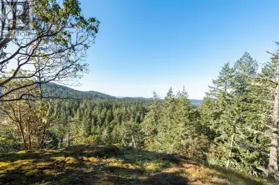 Welcome to Nighthawk Lane—an opportunity to own 6.87 acres of pristine West coast wilderness. Nestle...