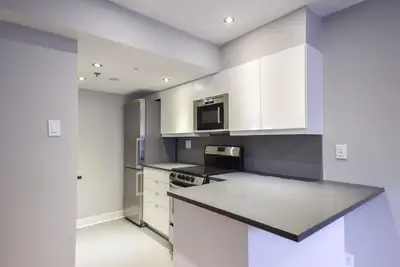 renovated one bedroom apartment near McGill - ID 940