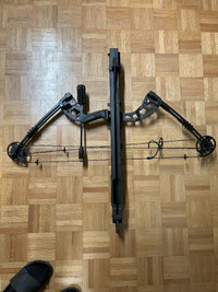 compound bow