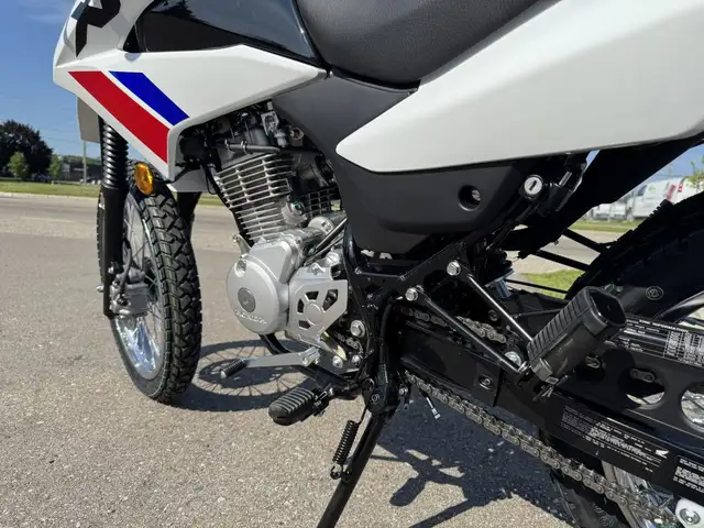 2025 Honda XR150L Standard in Street, Cruisers & Choppers in Kitchener / Waterloo - Image 19