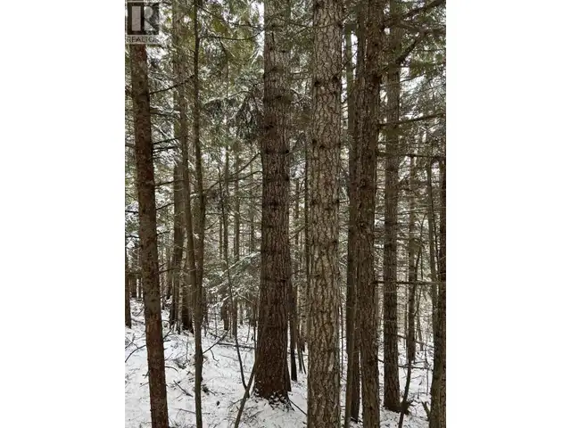 DL 7054 W 16 HIGHWAY McBride, British Columbia in Land for Sale in Quesnel - Image 7