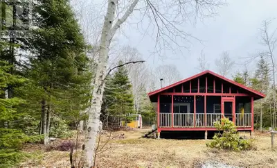 This affordable, rustic, cozy and private 2 Bed/1 Bath home tucked in the trees awaits you. On a lar...