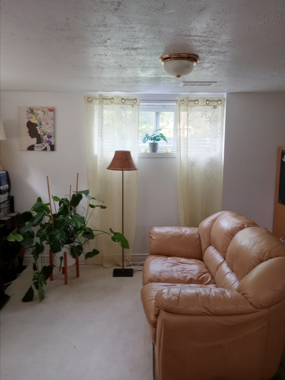 Lovely & Bright 1 Bedroom Basement for Rent in Aurora. 4