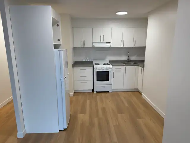 PT 212