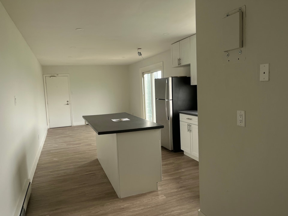 67 Shantz Lane, Renovated 1 Bedroom Apartment, Kitchener 3