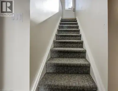 Newly built (2 years old) lower level apartment in the East Ward neighbourhood which is unbelievably...