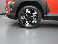 Just arrived and fully O'Regan's Green Light Certified this Kona Preferred features a complete power... (image 3)