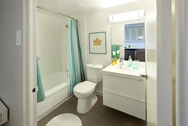 Renovated Jr. 1 Bdm. for Rent in Toronto's Danforth Village! in Long Term Rentals in City of Toronto - Image 14