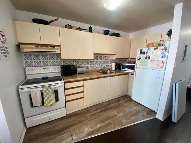 170 Princess Street - Apartment for Rent on Princess Street! in Long Term Rentals in Kingston - Image 4