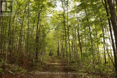 North Glengarry's best kept secret...Loch Garry Lake! Welcome to this Wonderful waterfront property...