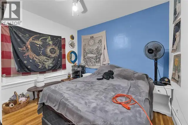 245-247 MCEWAN Windsor, Ontario in Houses for Sale in Windsor Region - Image 29