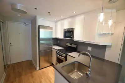 renovated one-bedroom apartment near McGill - ID 2043