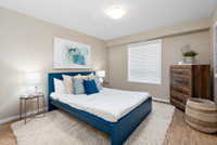 Broadstreet’s Jardin Apartments offers 1, 2, and 3-bedroom pet-friendly apartments located in vibran... (image 6)