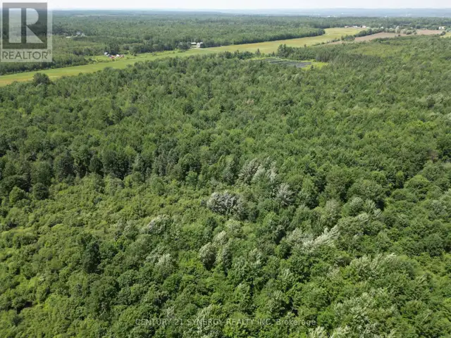 00 CONCESSION 4 ROAD Alfred and Plantagenet, Ontario in Land for Sale in Ottawa - Image 7