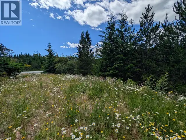 Lot 1 Eagle Vista Rd Shawnigan Lake, British Columbia in Land for Sale in Victoria - Image 12