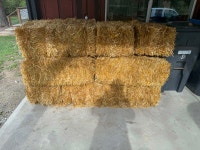 Large / small Wheat Straw Bales Penticton Kelowna Preview
