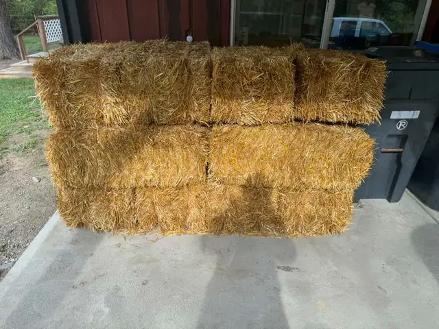 Large / small Wheat Straw Bales in Livestock in Penticton - Image 7