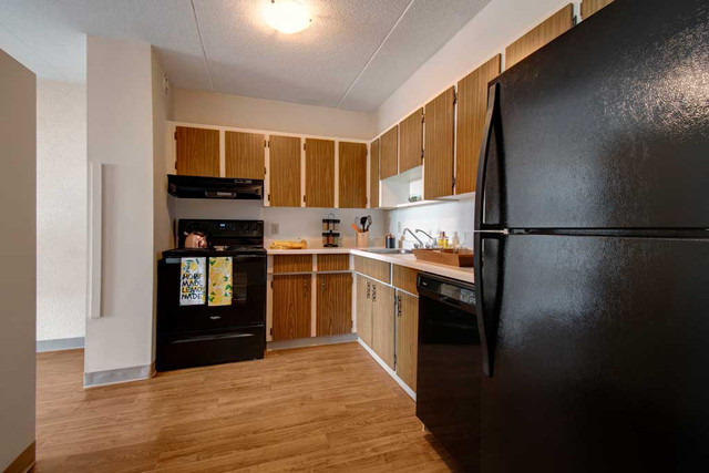 Spacious & Bright Renovated 1 Bedroom - Downtown! in Long Term Rentals in Regina - Image 2