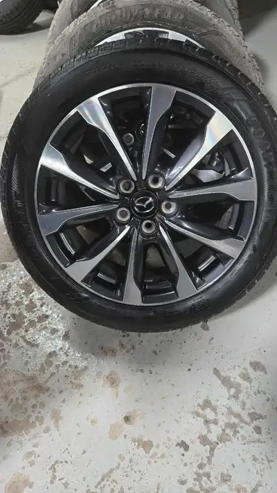 Rims are in mint shape perfect for winter or to dress up your Mazda for summer. Only one set of 4 le...