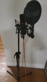 Recording mic setup with speakers 