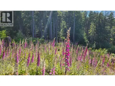 SW tip of Bowen Island. Along the western waterfront is a 1-km sunset trail connecting three iconic...