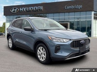 PREVIOUS DAILY RENTAL The *2024 Ford Escape Active* is the versatile daily driver designed for the m... (image 6)