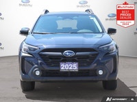 Recent Arrival! New Price! Odometer is 3306 kilometers below market average! Cosmic Blue Pearl 2025... (image 7)