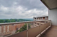 1 Bed, 1 Bath, Spacious, Newly Renovated Kitchen with Stainless Steel Appliances, Hardwood Flooring... (image 5)