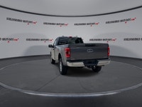 // ACCIDENT FREE!! // Built to work hard and drive with confidence, this 2023 Ford F-150 XLT Reg Cab... (image 6)