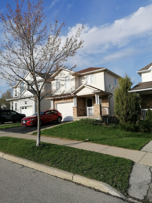 a single bright house for a single family in Laurelwood Long Term