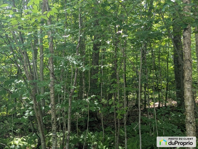 $88,000 - Residential Lot for sale in Austin — photo 3