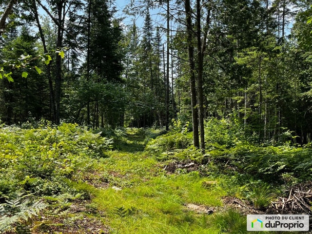 $209,500 - Residential Lot for sale in St-Raymond — photo 2