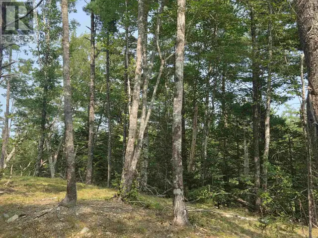 Highway 103 Sable River, Nova Scotia in Land for Sale in Yarmouth - Image 9