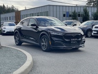 Shadow Black with Black Onyx Activex 62,015 KMS 68KWH Usable Standard Battery 1-Speed Automatic RWD... (image 9)