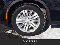 Welcome to Maserati Alfa Romeo of Winnipeg, home to one of the largest used car inventories in the c... (image 7)