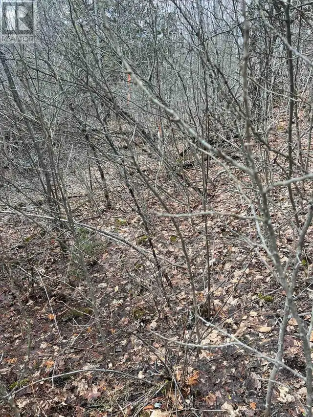 00 N. DUMMER 7TH LINE ROAD Douro-Dummer, Ontario in Land for Sale in Peterborough - Image 13