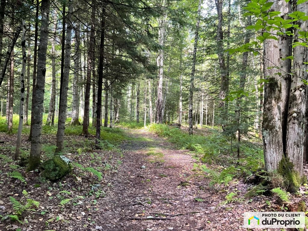 $228,000 - Residential Lot for sale in Eastman — photo 3