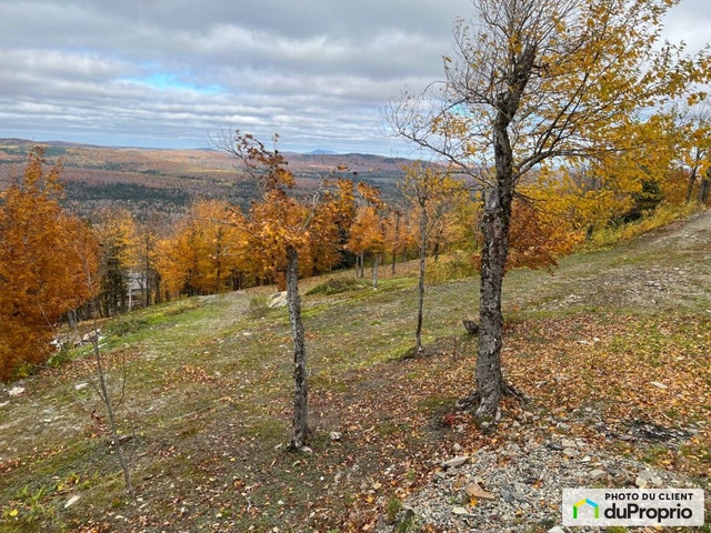 $197,000 - Residential Lot for sale in Notre-Dame-Des-Bois — photo 3
