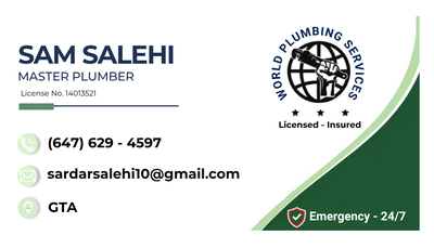 WORLD PLUMBING SERVICES, View more