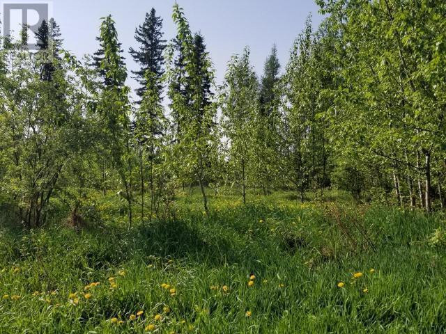 4845 52 Avenue SW Chetwynd, British Columbia in Land for Sale in Dawson Creek